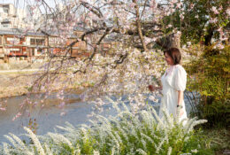 Japan_Sakura_2025 (41/79)